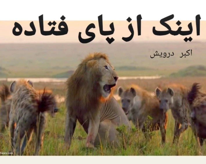 اینک از پای فتاده