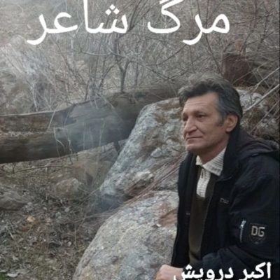 مرگ شاعر